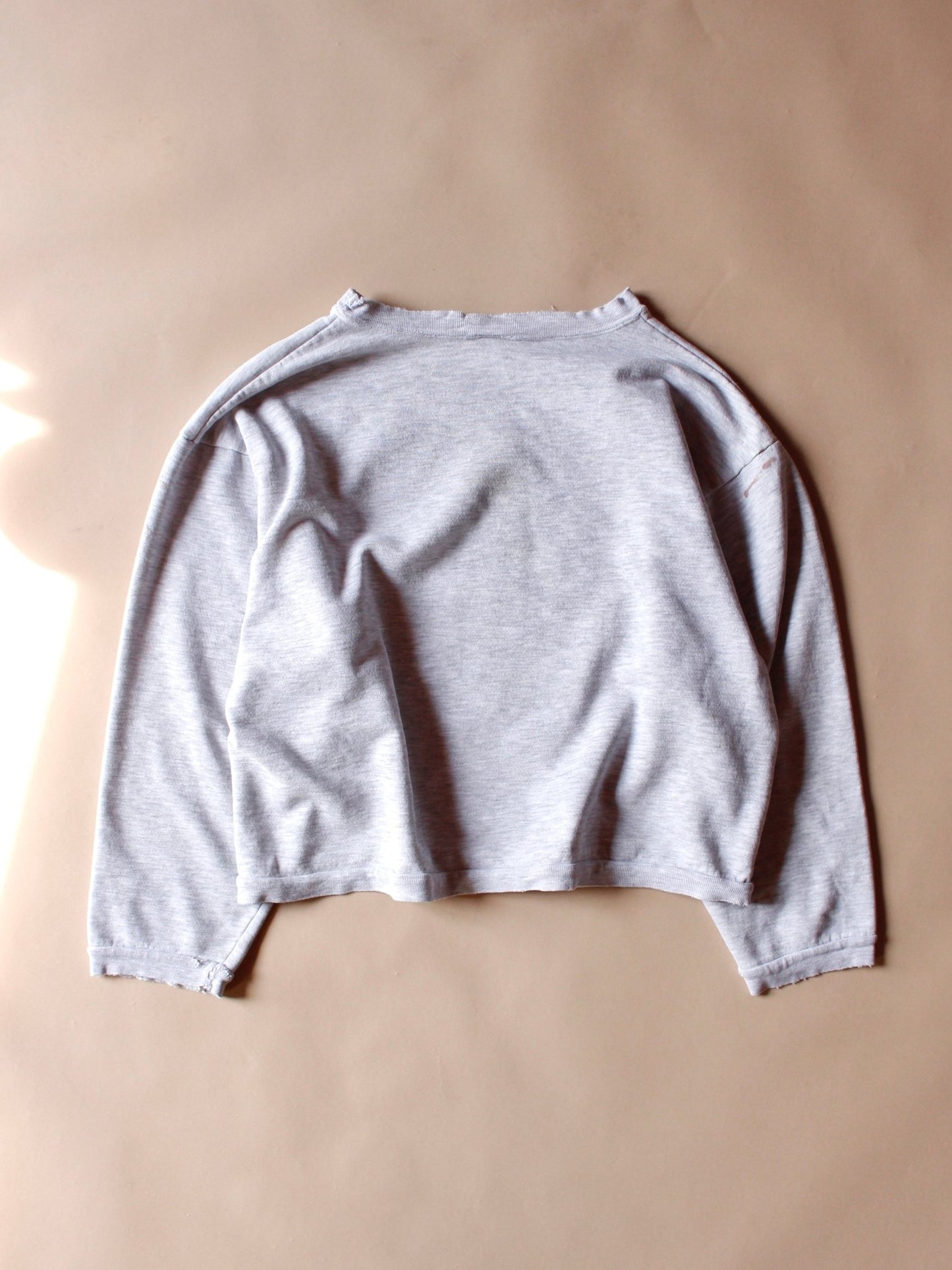 1990s Gold’s Gym Crew